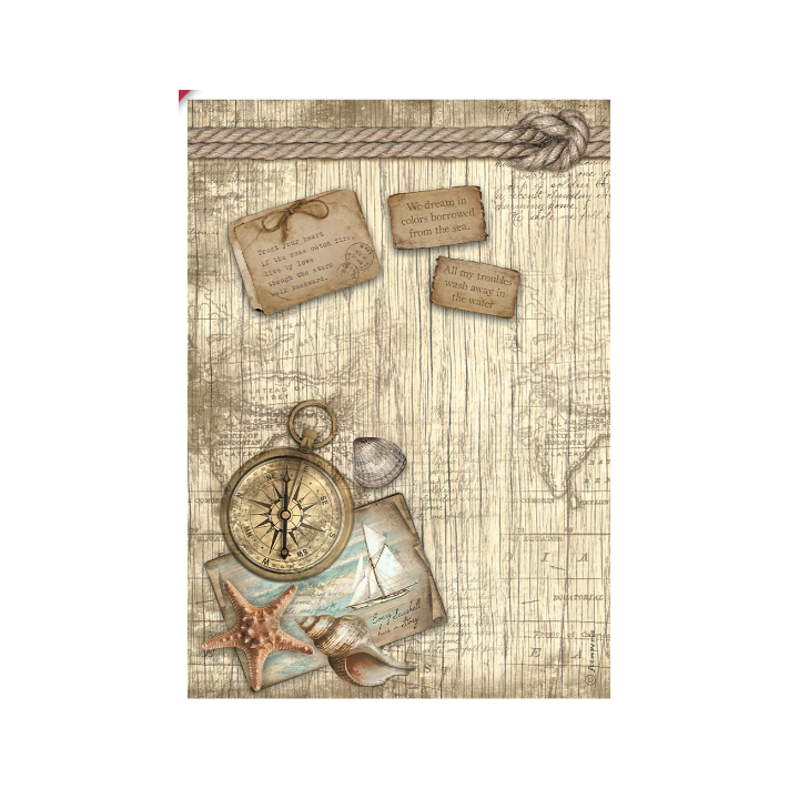 copy of 